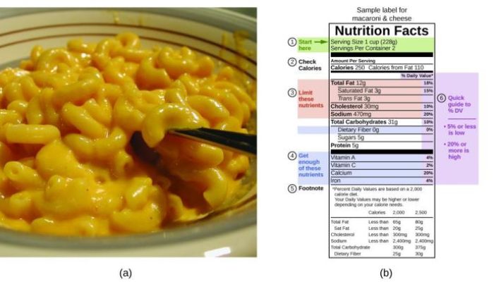 Mac and Cheese Nutrition Info A Detailed Guide