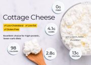 1/2 c Cottage Cheese Nutrition Facts