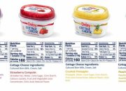 Daisy Cottage Cheese Nutrition Your Complete Guide