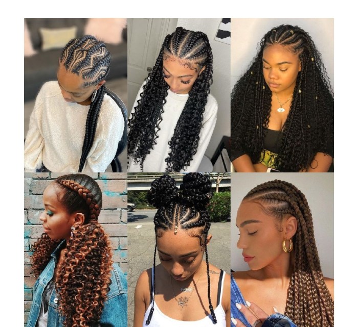 Braided hairstyles for african hair