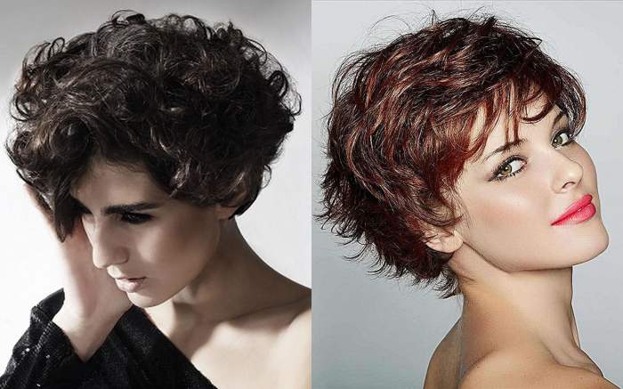 Hairstyles for short curly hair female