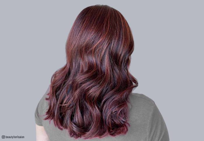 Black hair with red highlights hairstyles