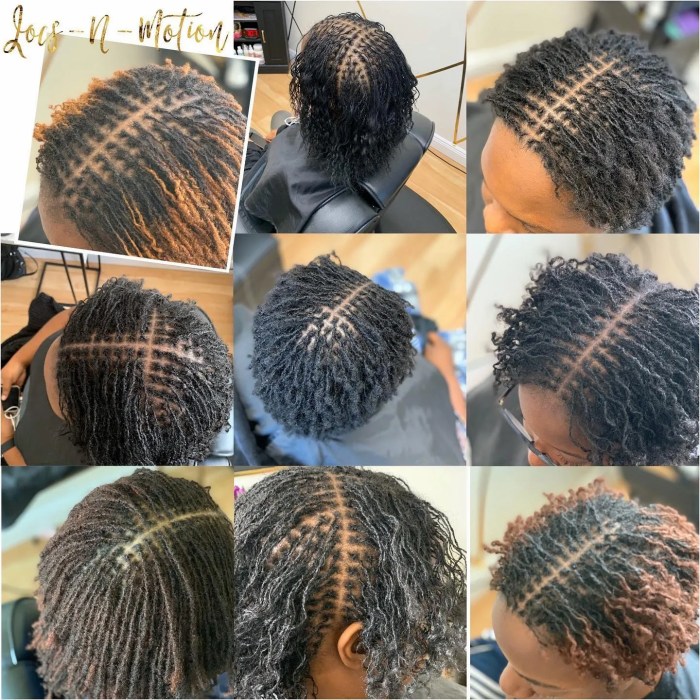 Hairstyles for sisterlocks hair