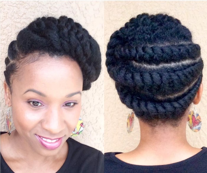 Natural hair updo hairstyles