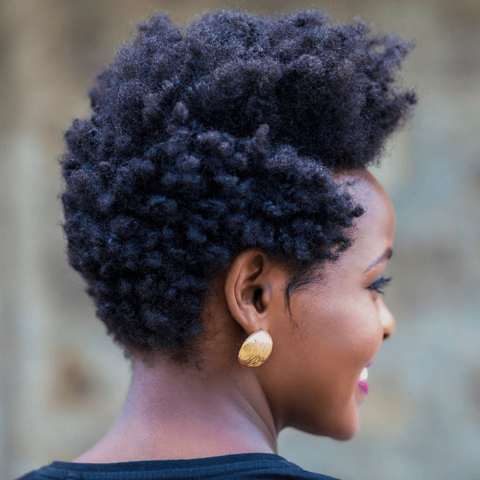 Natural hairstyles for 4c hair